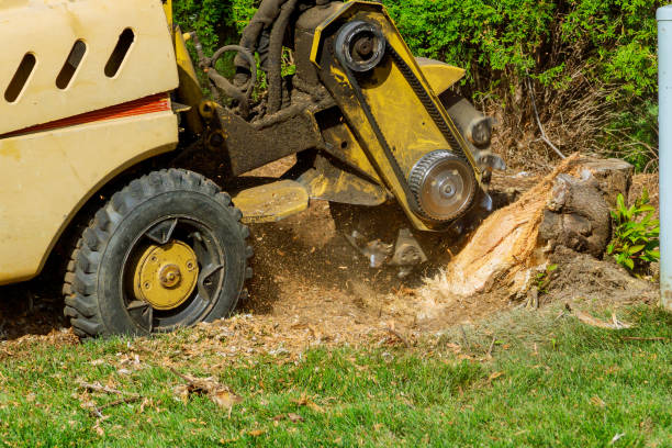 Best Utility Line Clearance  in Ranchettes, WY